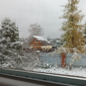 Синоптик рассказал, дойдет ли до Владимира «африканское тепло»