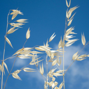 Прогноз погоды во Владимирской области на 28 июня