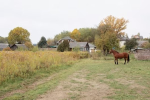 Во Владимирской области стартовал прием заявок на конкурс сельских старост
