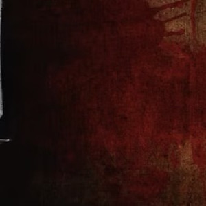 Дело о расправе на свидании над женщиной из Вязников дошло до суда