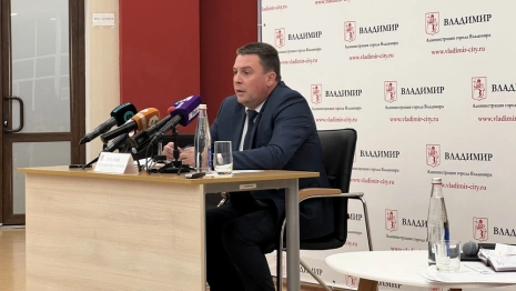 Зарплата мэра Владимира выросла на 2 млн рублей за год