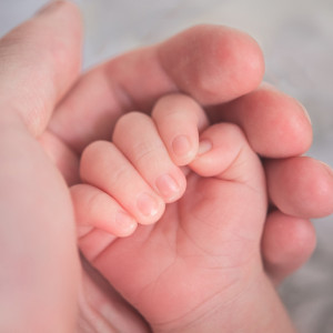 Во Владимирской области за полгода родились 46 двойняшек 