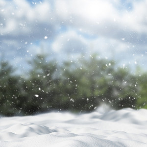 Прогноз погоды во Владимире и области на 21 февраля