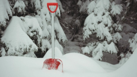 Владимирскую область заметет снегом