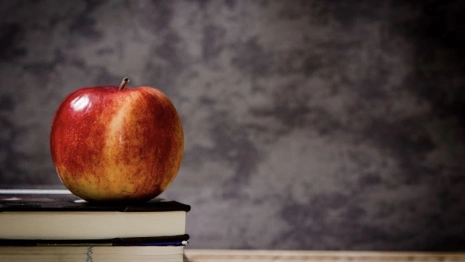 Во Владимирской области колледжи начнут готовить учителей для 5-9 классов