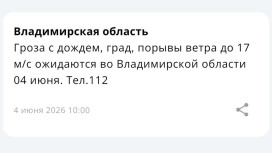 МЧС предупредило владимирцев о грозе и граде 4 июня