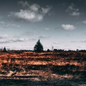 Костры обойдутся владимирским дачникам в 10 раз дороже