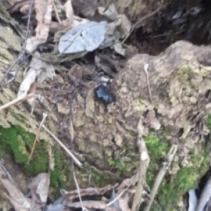 Во Владимире 17-летнего подростка арестовали за закладки с наркотиками