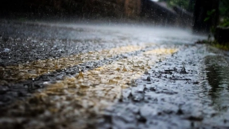 Тестовый материал (редактор)