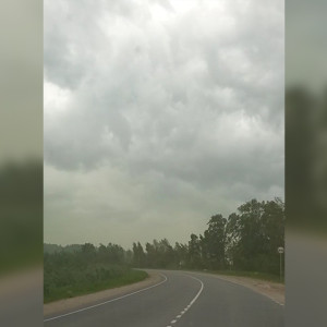 Владимирскую область накрыла «зеленая буря»