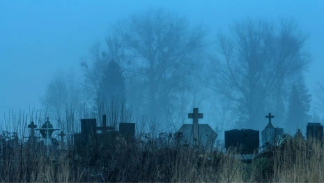 Во владимирском селе на частной земле устроили кладбище