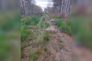 В Собинке дорога на одной из улиц превратилась в грязевое месиво