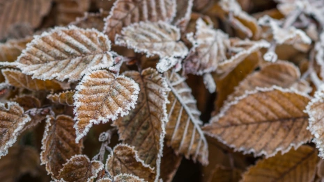 Московский синоптик пообещал владимирцам похолодание