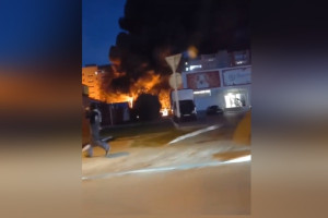 Глава Владимирской области выразил соболезнования после трагедии с 13 погибшими в Ейске