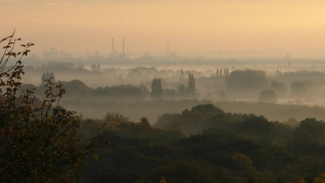 Как владимирцам пережить смог и гарь без вреда для здоровья