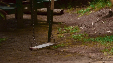 Во Владимирской области похититель первоклассника снова попытается смягчить приговор