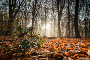Прогноз погоды во Владимире и области на 18 сентября
