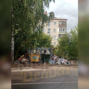 Жители Коврова потребовали переезда новых мусорных контейнеров