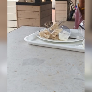 Владимирцы возмутились грязью на рынке на Студеной