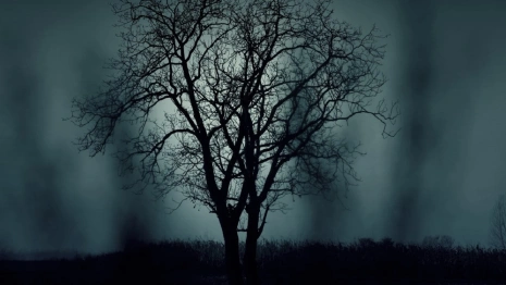 У найденной мертвой жительницы Коврова остались двое детей