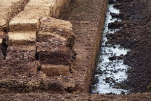 Во Владимирскую область завезли 2 тыс. тонн торфа из Беларуси