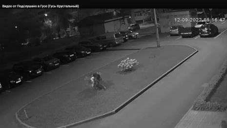 В Гусь-Хрустальном местный Ромео под камерами сорвал для подруги цветы с клумбы