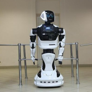 Во Владимирской области гостей отеля встречает робот Михалыч