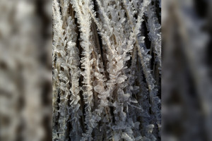 Во Владимирской области наступила метеорологическая зима