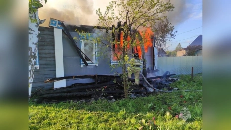 Во Владимирской области сгорел дом в деревне
