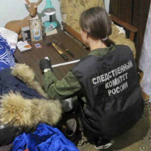 Жительница Владимирской области зарезала 76-летнюю мать