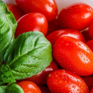 Прогноз погоды во Владимире и области на 10 июня 