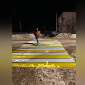 В райцентре Владимирской области появилась первая проекционная зебра