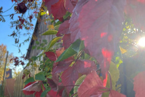 Прогноз погоды во Владимире и области на 3 октября