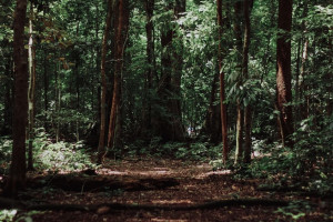 Во Владимирской области за месяц потерялись 16 детей