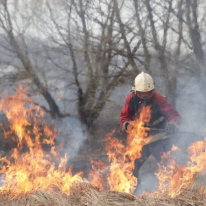 Во Владимирской области в Пасху потушили 25 ландшафтных пожаров