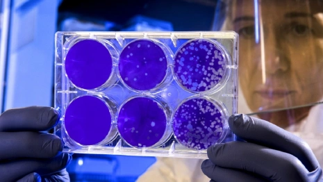 
Во Владимирской области с начала пандемии ковидом заболели 185 тыс. человек