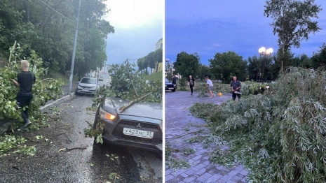 Взгляд из соцсетей. Как ураган прошелся по Владимирской области