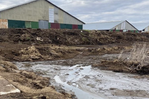 Из-за гибели рыбы в реке Бакава в Юрьев-Польском районе завели уголовное дело