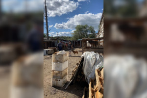 Терпящему бедствие приюту для животных в Гусь-Хрустальном выделили 17 млн