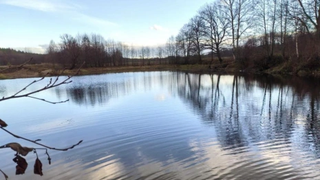 Вылов рыбы сетями во владимирском заказнике обернулся уголовным делом