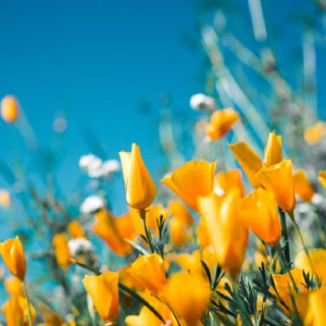 Синоптики дали прогноз на весну во Владимирской области