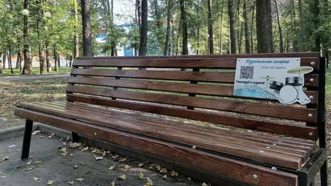 В Центральном парке Владимира появились «музыкальные» скамейки