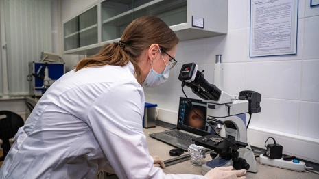 «Транснефть-Верхняя Волга» выполнила более 242 тыс. испытаний нефти и нефтепродуктов в 2024 году