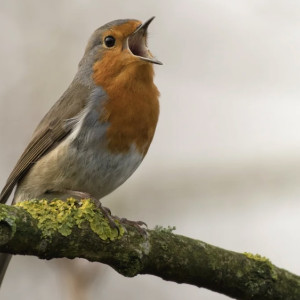 Пасхальная седмица: что можно и чего нельзя делать 17 апреля