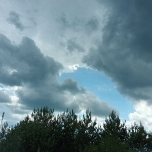 МЧС предупредило о надвигающейся грозе и усилении ветра