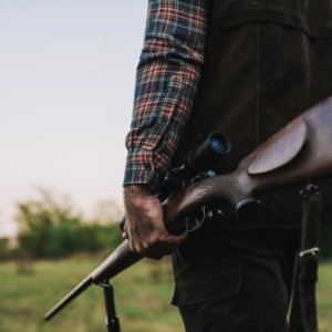 В Гусь-Хрустальном запретили любительскую и спортивную охоту