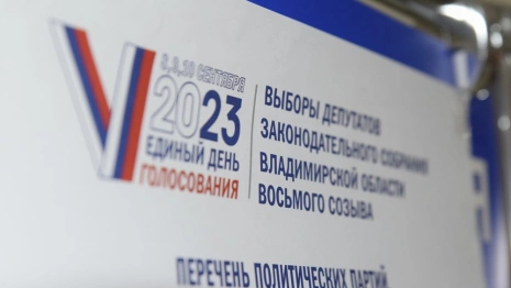 Владимирская область оказалась на 5 месте по явке на электронное голосование