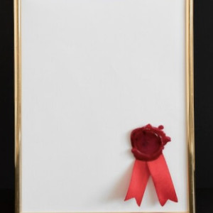 Во Владимирской области наградили чиновников и судей