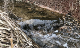 Прогноз погоды во Владимирской области на 29 марта 2026 года