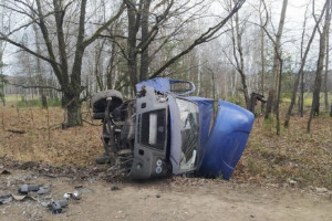 В ДТП с двумя ГАЗелями под Муромом пострадали 3 человека